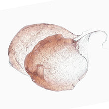 Afbeelding in Gallery-weergave laden, Hydraterende vloeistof "light fluid"